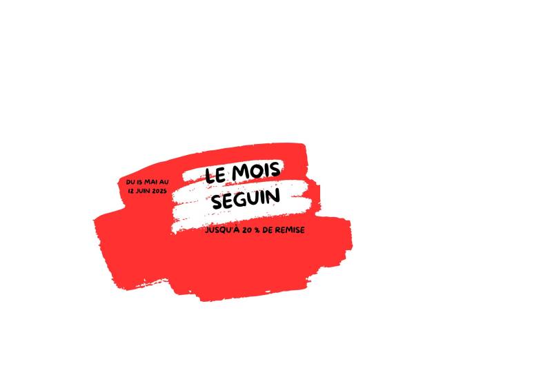 PROMOTION POELE A BOIS POELE A GRANULES BEAUJOLAIS CONCEPT FLAMMES